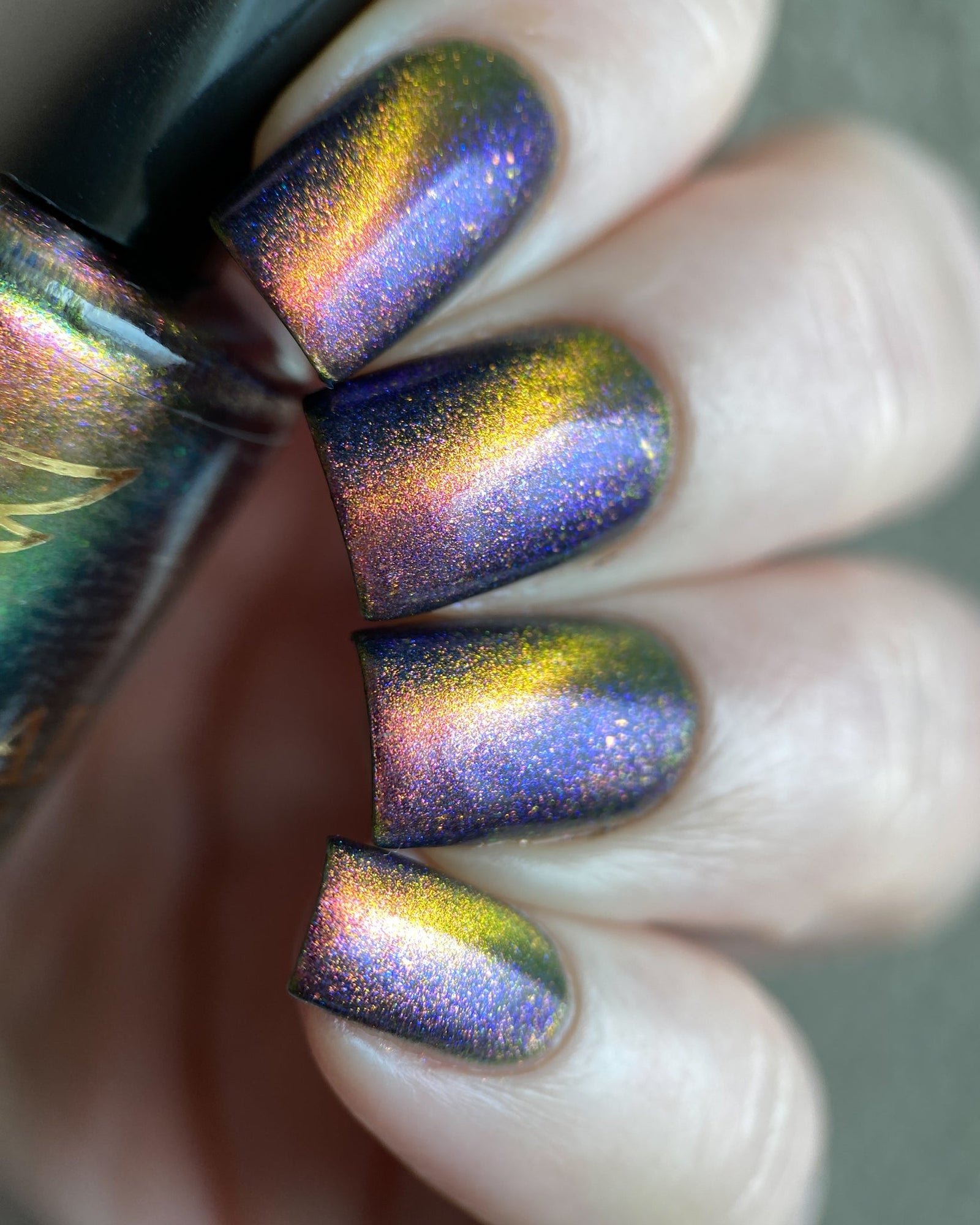 Phoenix- Paint the Town Red- Bill