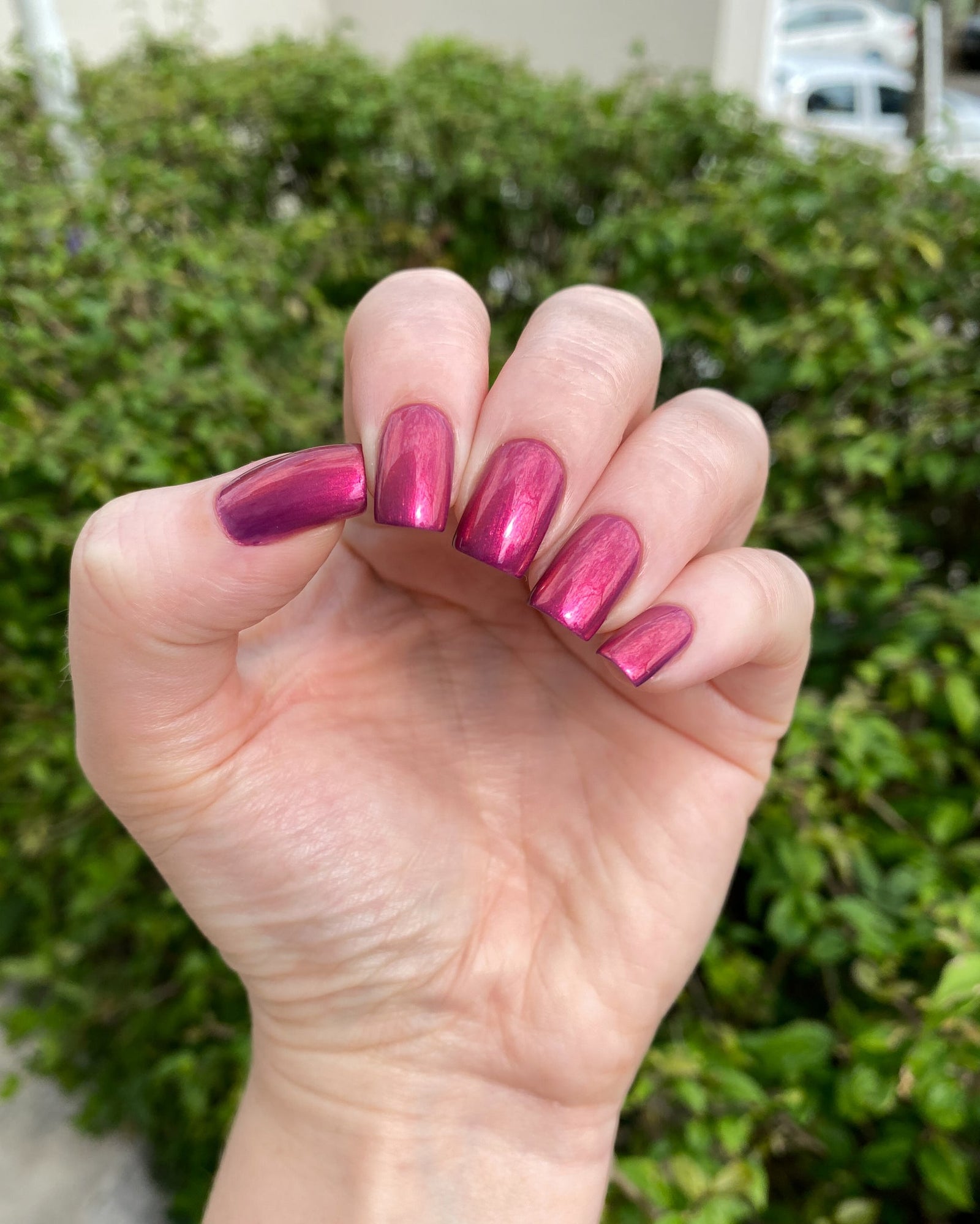 Phoenix- Paint the Town Red- Elena