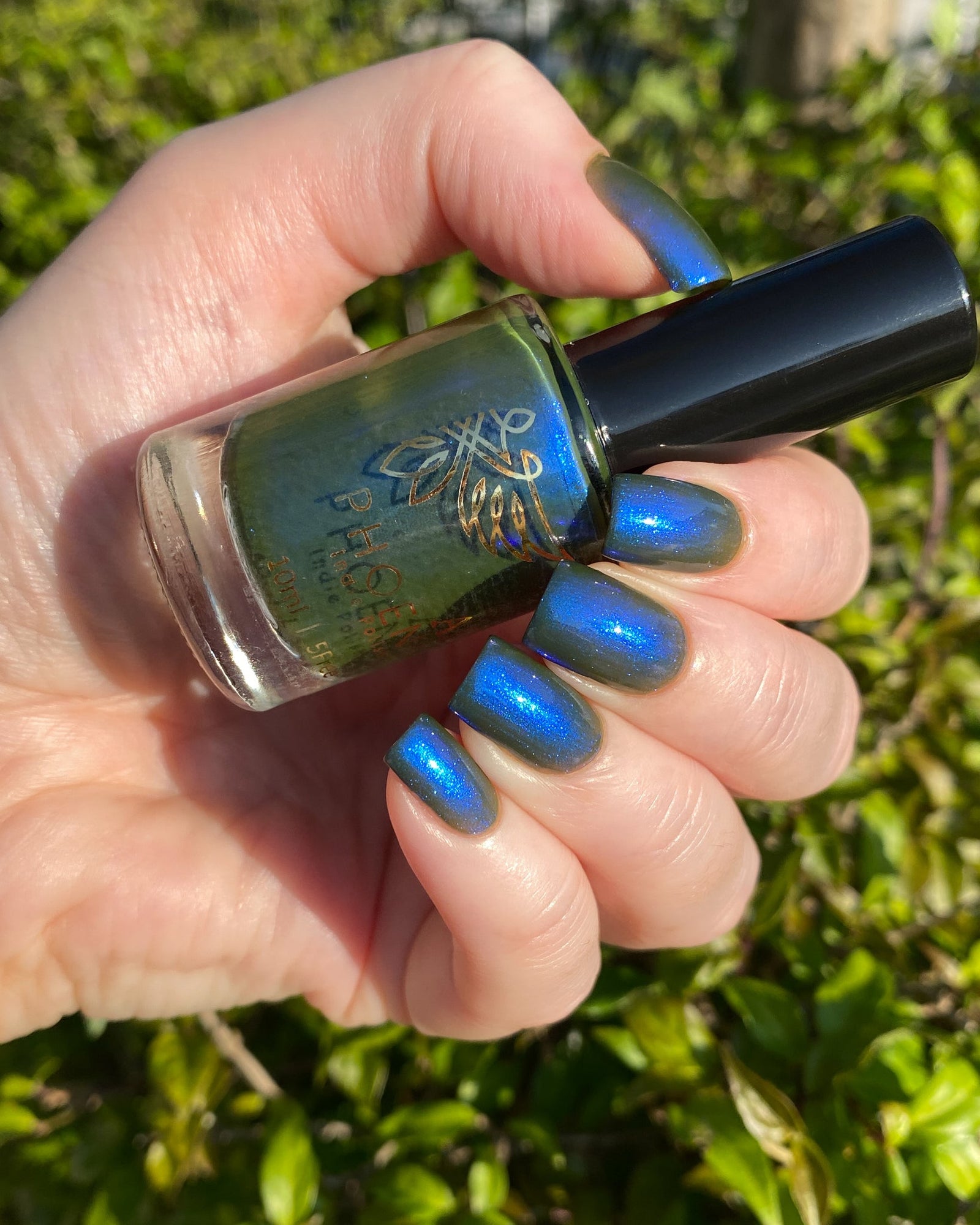 Phoenix- Paint the Town Red- Lestat