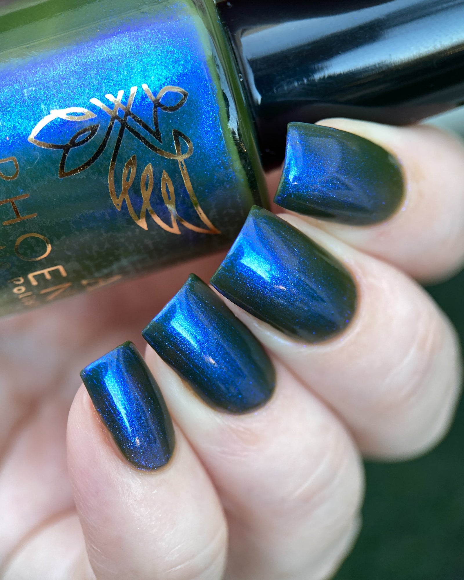 Phoenix- Paint the Town Red- Lestat