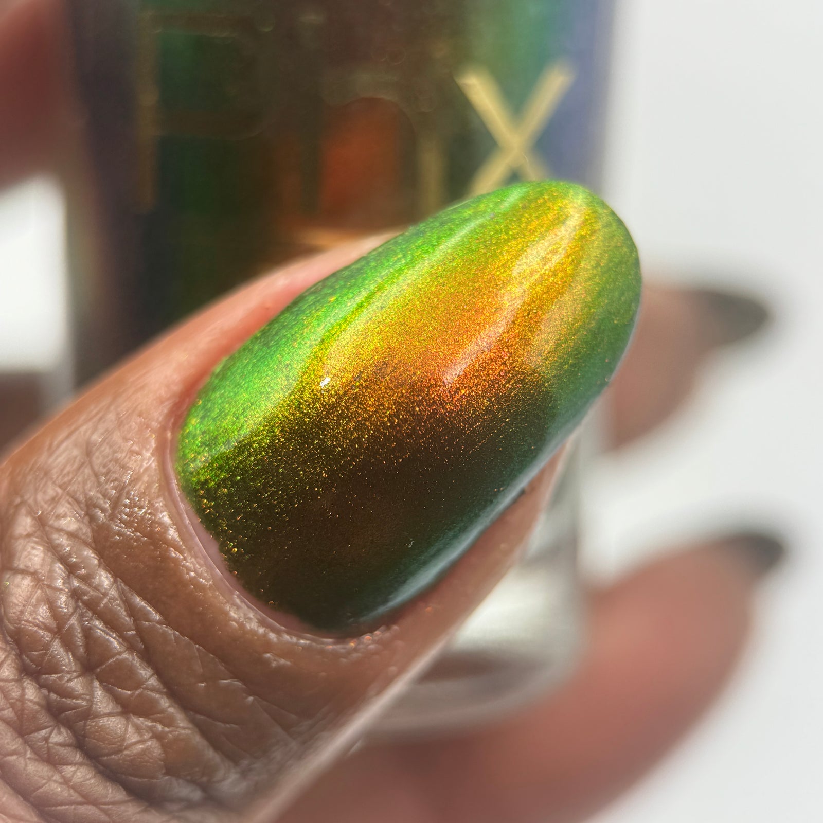 Phoenix- Hummingbirds- Ruby Throated Hummingbird