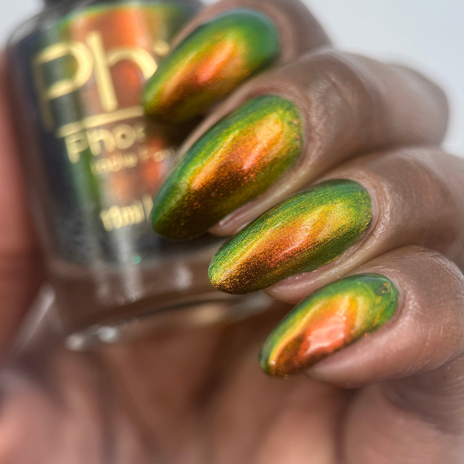 Phoenix- Hummingbirds- Ruby Throated Hummingbird