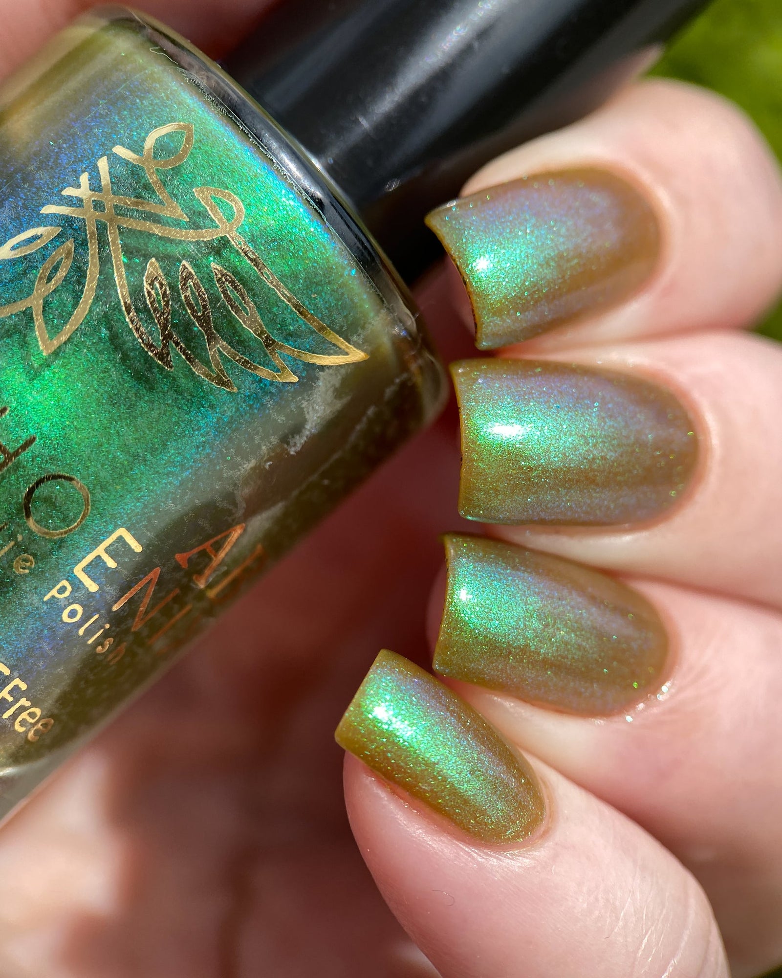 Phoenix- Paint the Town Red- Louis