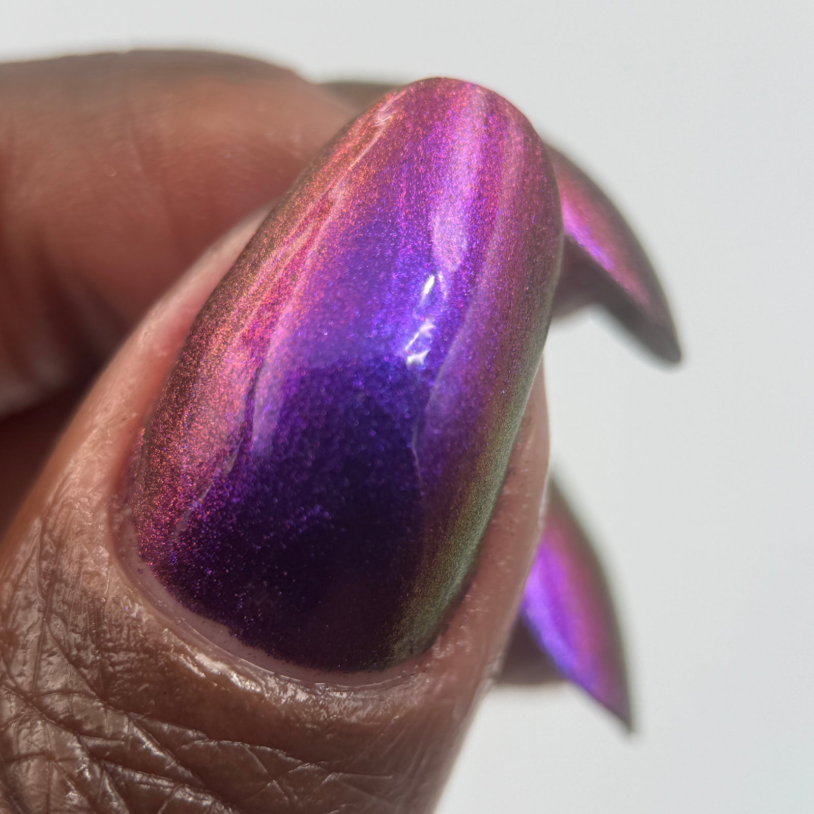 Phoenix- Hummingbirds- Costa's Hummingbird