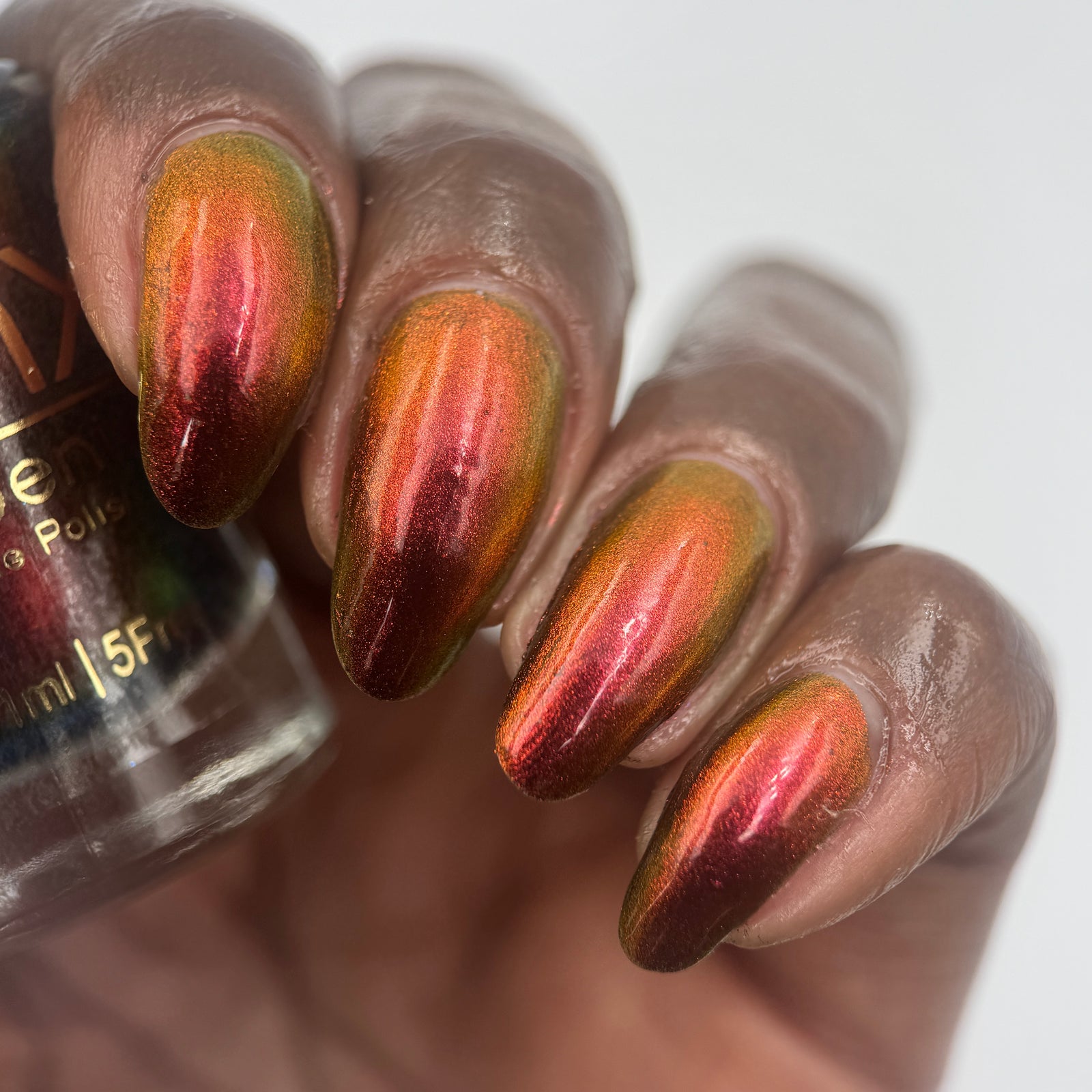 Phoenix- Hummingbirds- Stripe Tailed Hummingbird