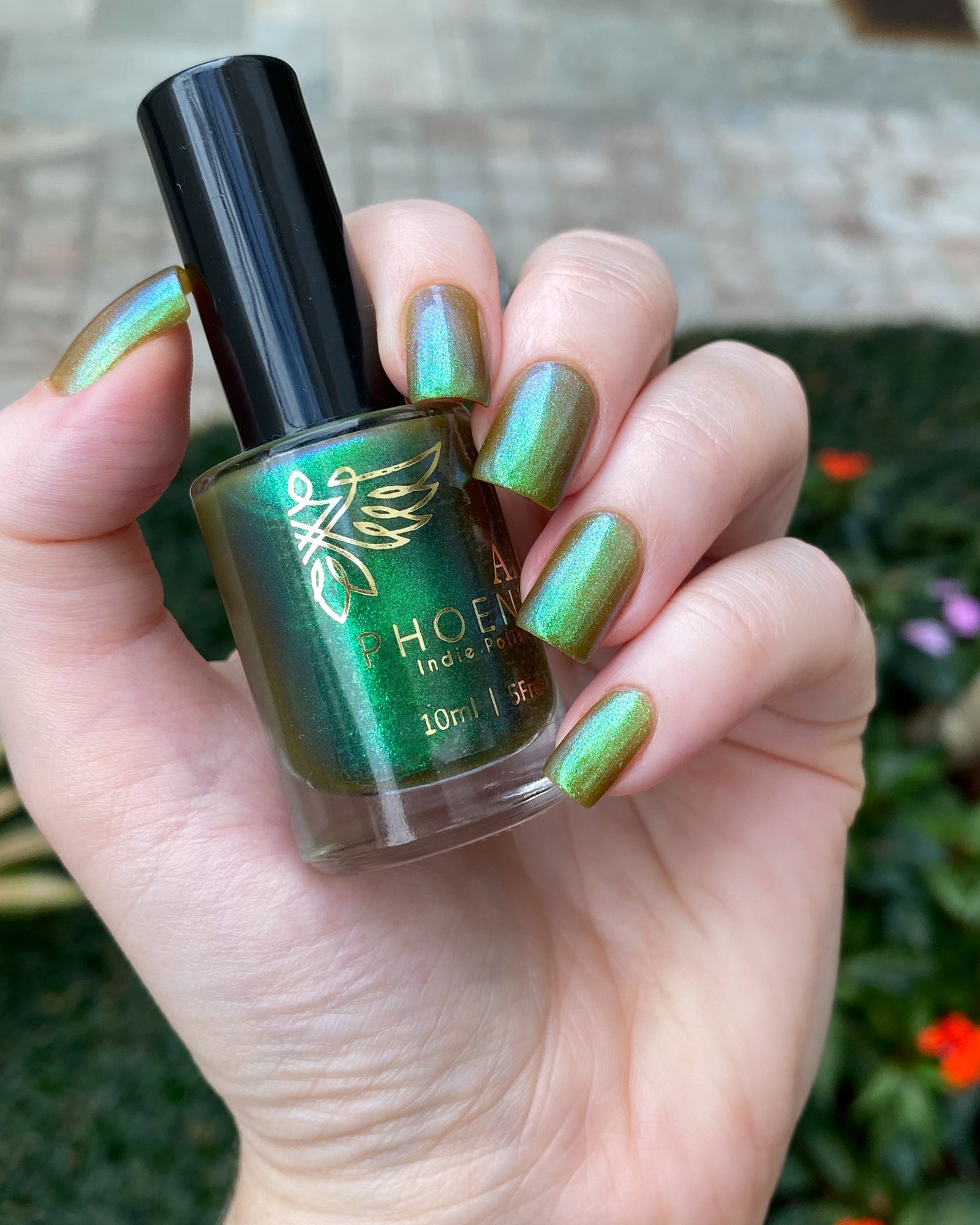 Phoenix- Paint the Town Red- Louis