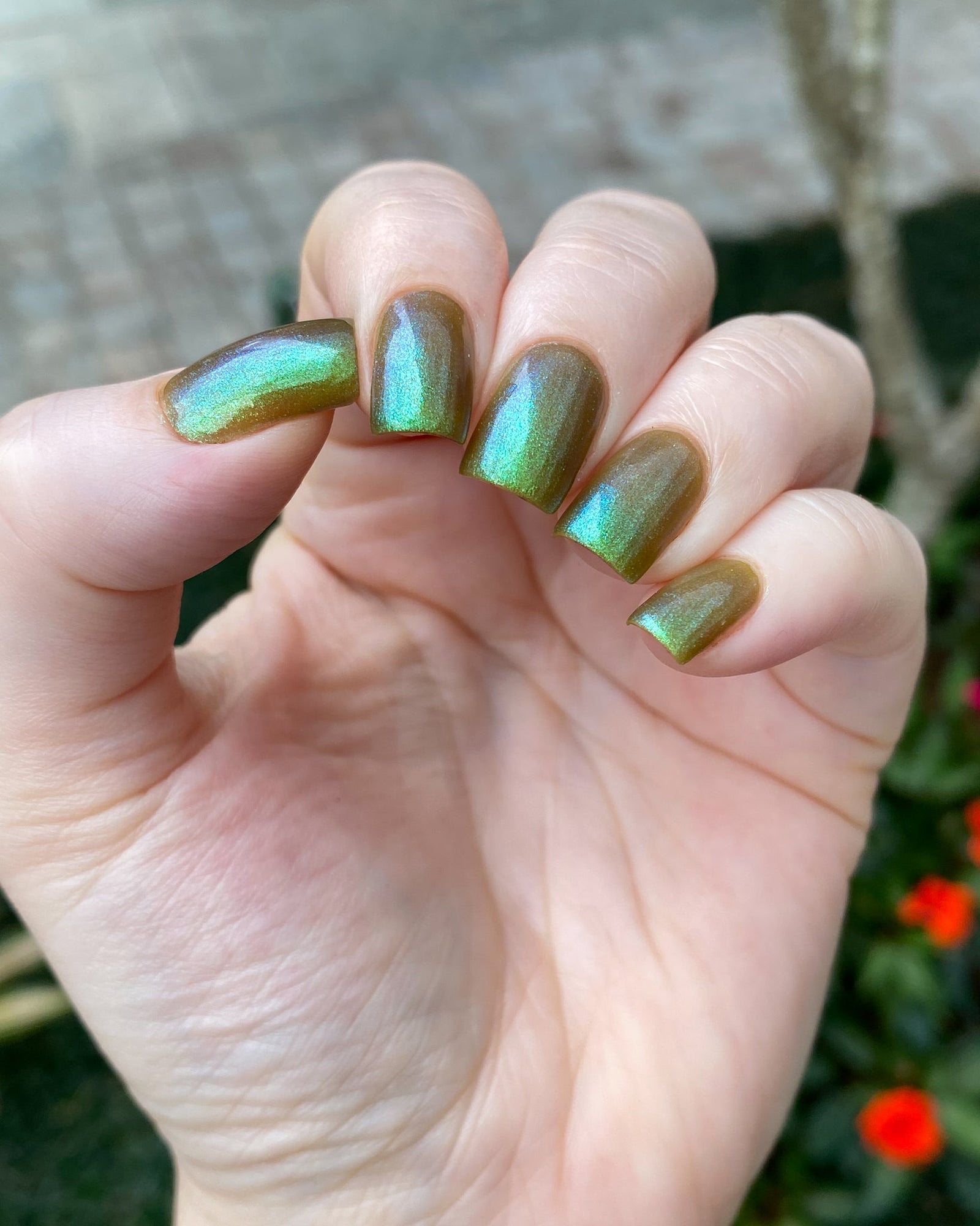 Phoenix- Paint the Town Red- Louis