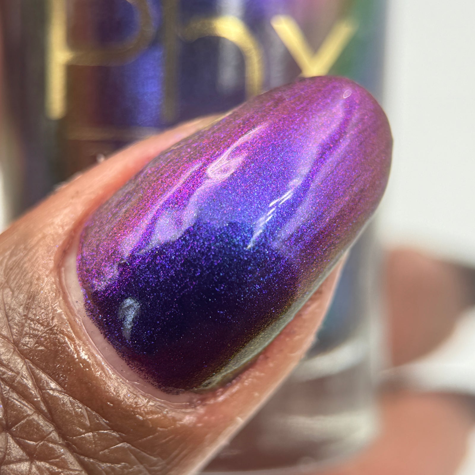 Phoenix- Hummingbirds- Garnet Throated Hummingbird