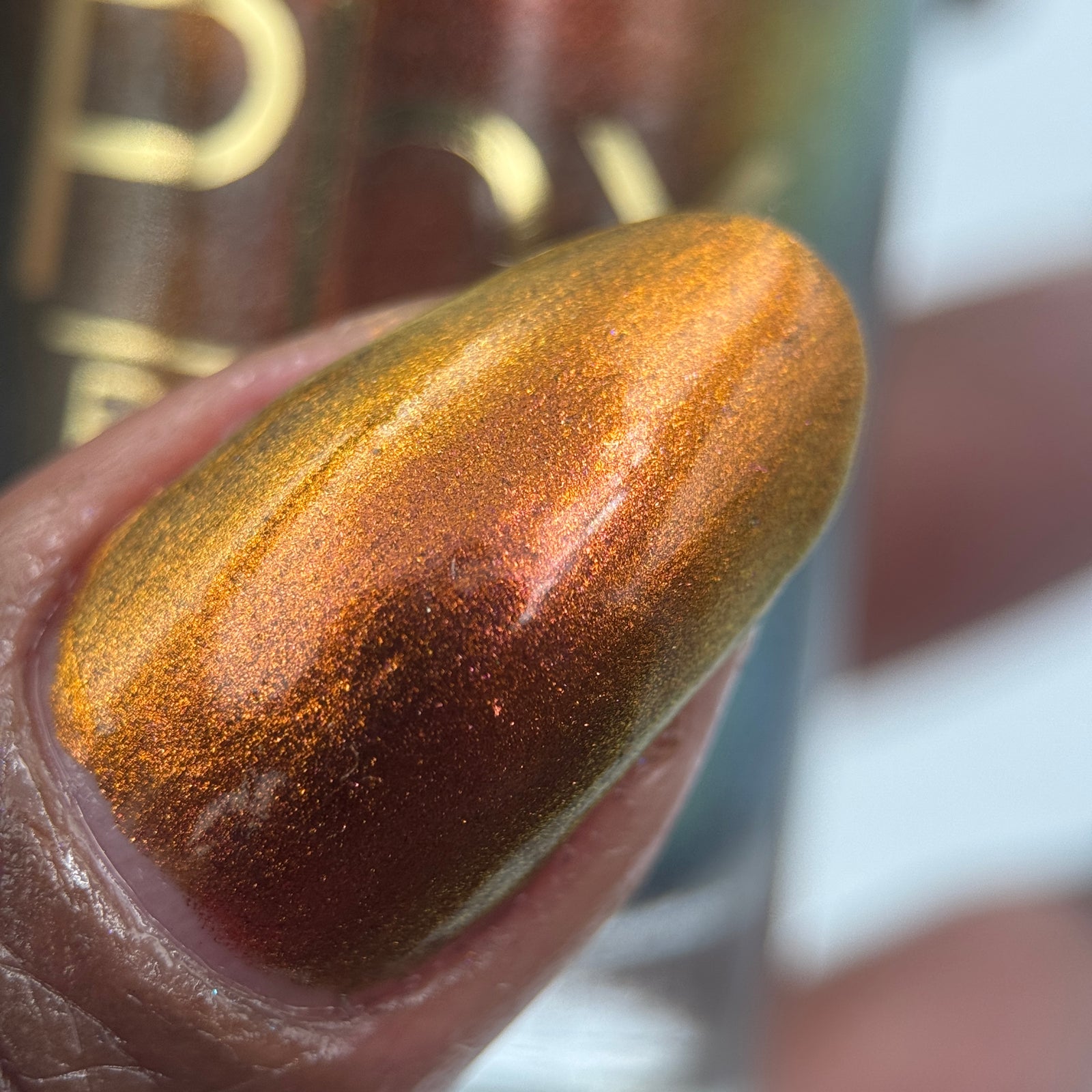 Phoenix- Hummingbirds- Rufous Hummingbird