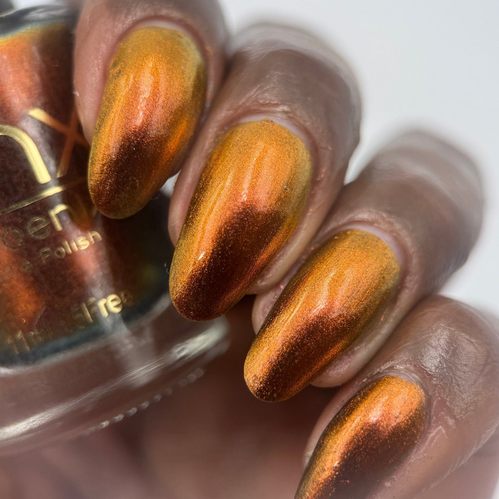 Phoenix- Hummingbirds- Rufous Hummingbird