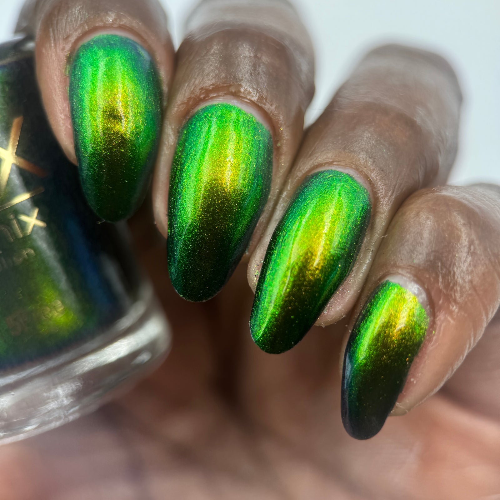 Phoenix- Hummingbirds- Green Breasted Mango