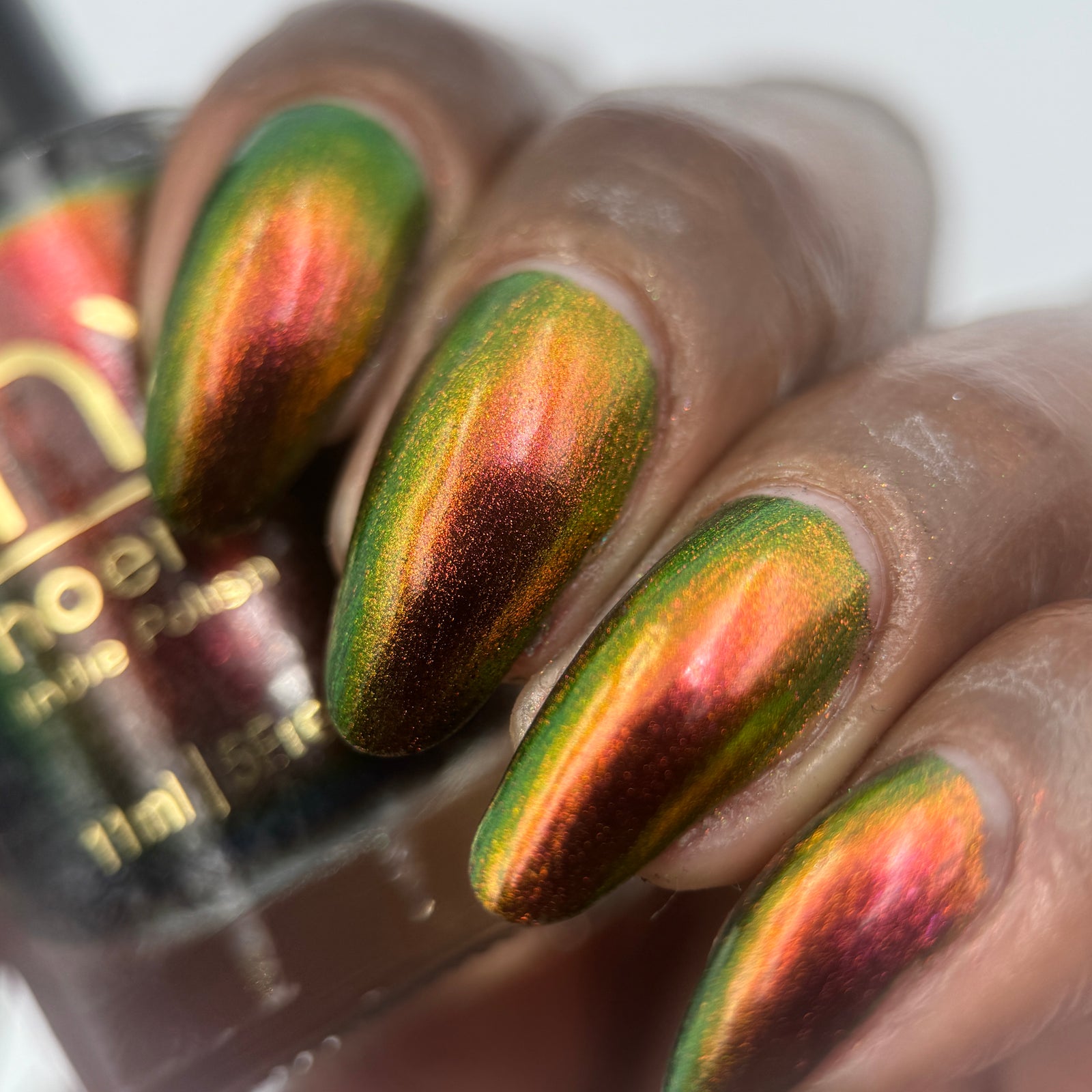 Phoenix- Hummingbirds- Allen's Hummingbird