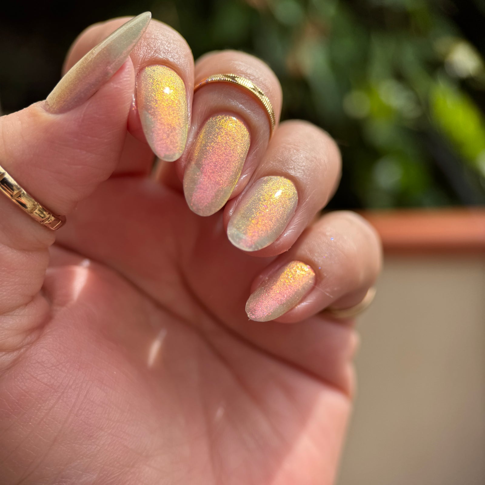 Phoenix- The Labyrinth- Sr. Didymus