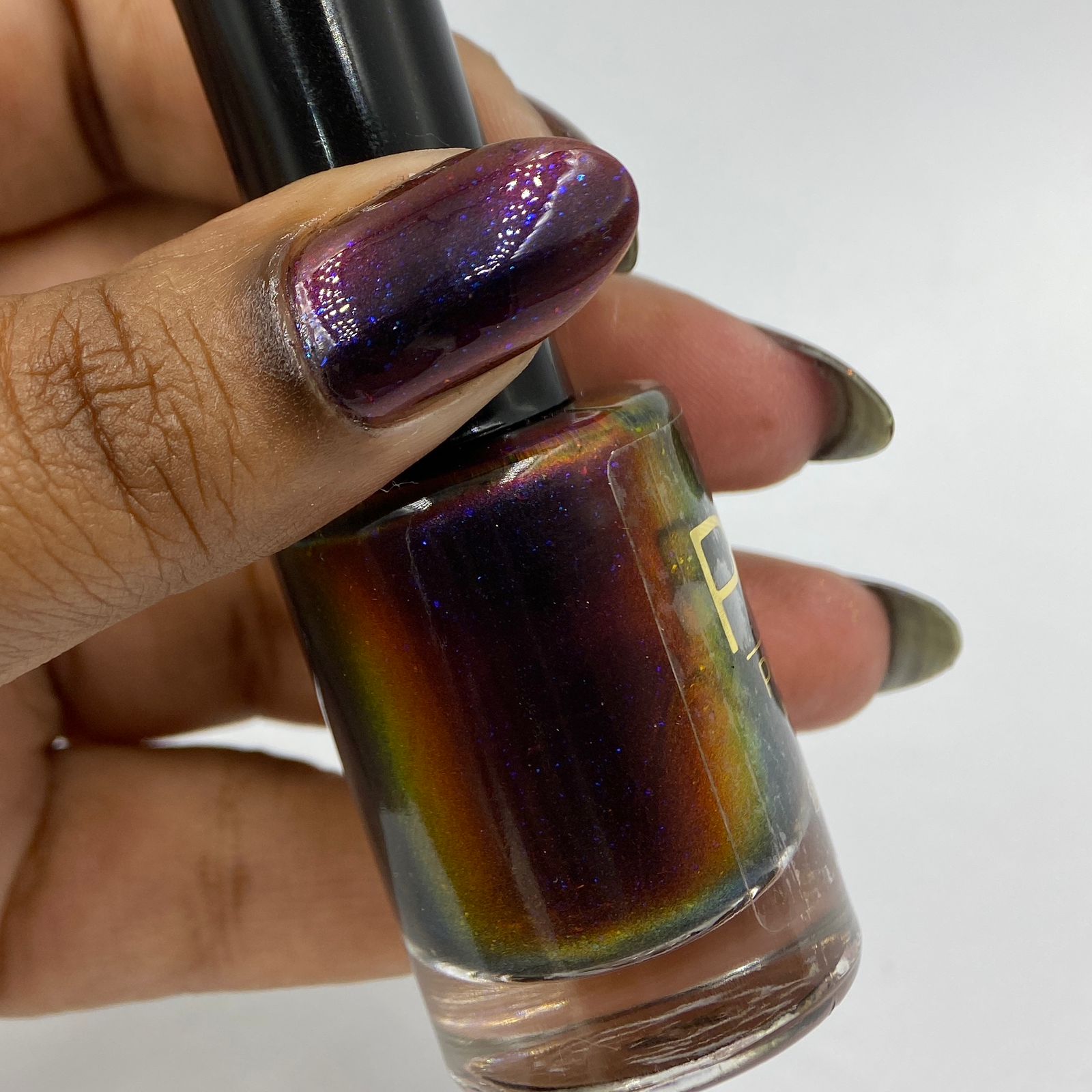 Phoenix- Light & Shadow- Hidden Web