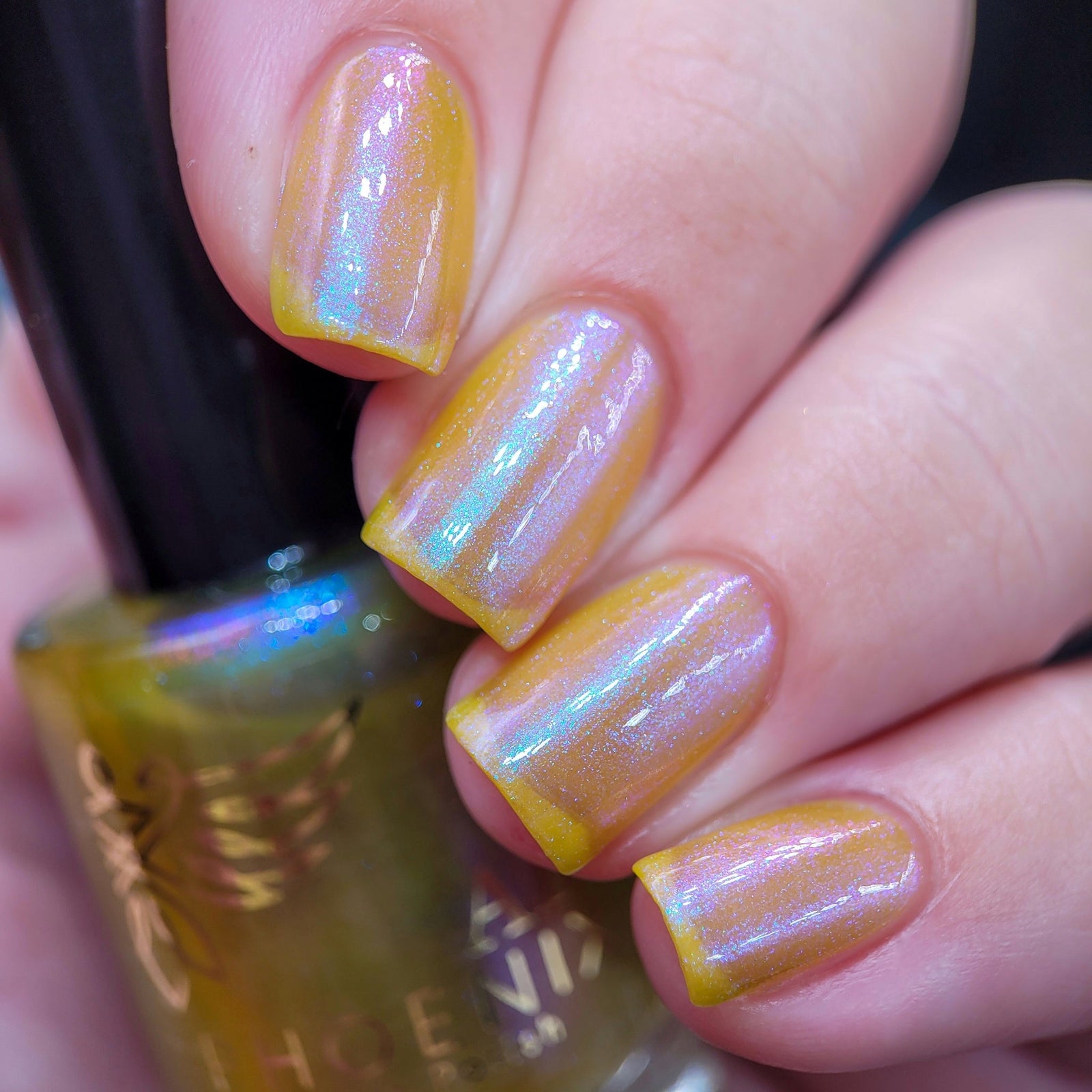 Phoenix- Paint the Town Red- Eric