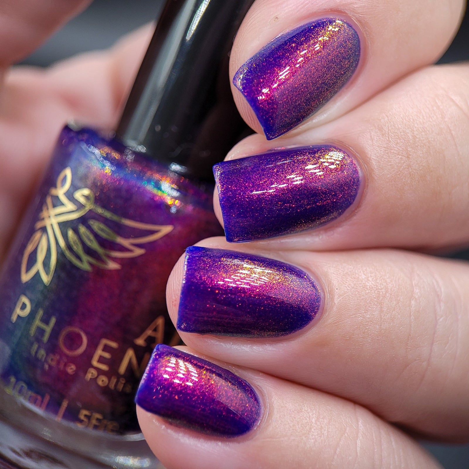 Phoenix- Paint the Town Red- Elijah