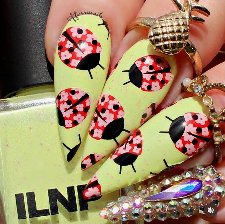 Clear Jelly Stamper- CjS-285- Patterned Spring- One