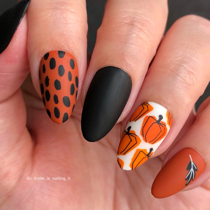 Clear Jelly Stamper- CjS-322- Playfully Autumn