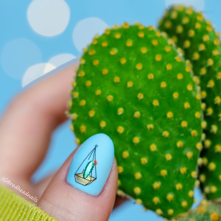 Clear Jelly Stamper- LC-07- Crazy Plant Lady