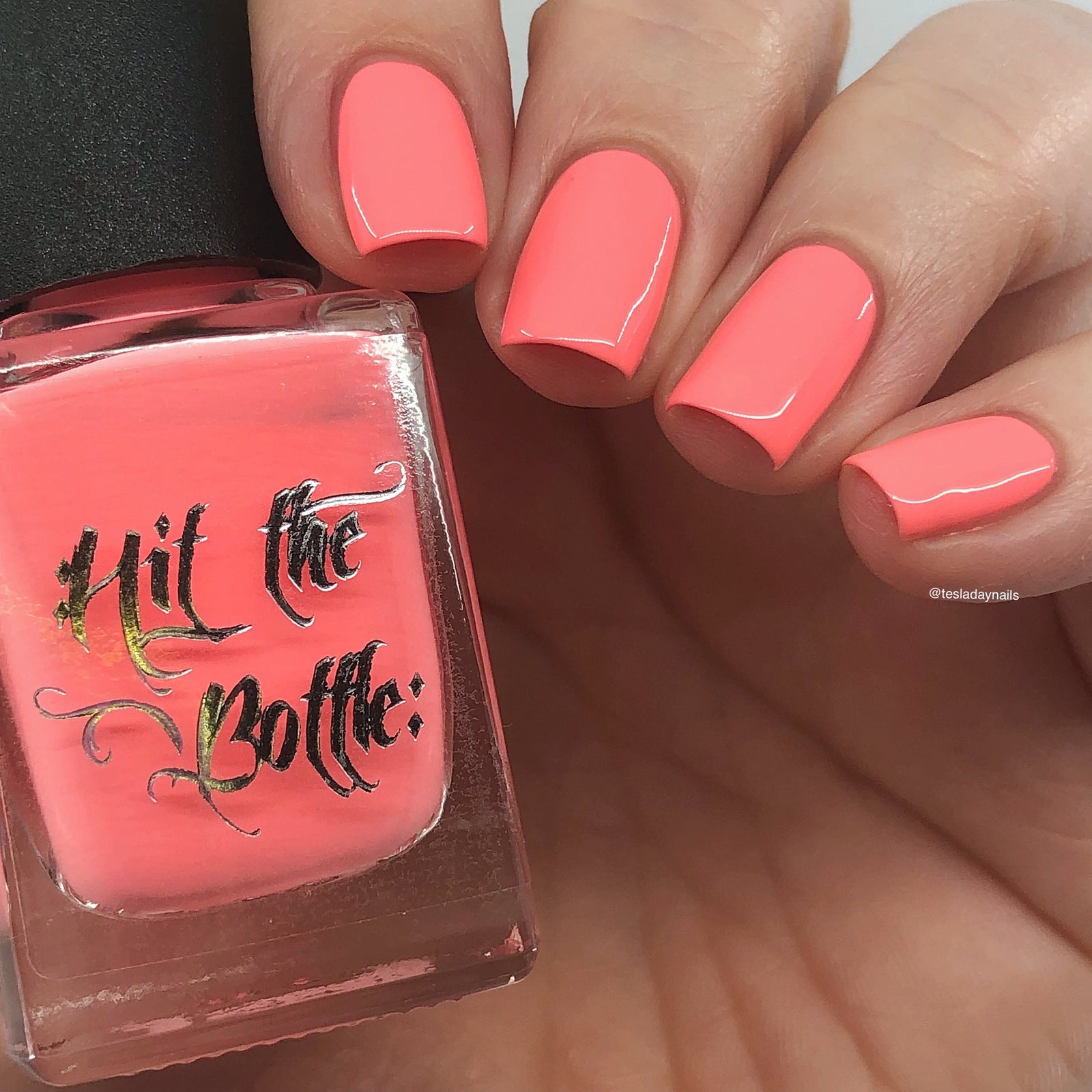 Hit the Bottle- Follow Your Dreams- Coral Catnaps