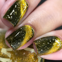 DVW- Wonka- Prodnose