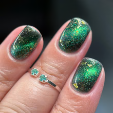 By Dany Vianna- Wicked- The Great and Terrible Oz