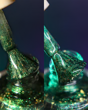 By Dany Vianna- Wicked- The Great and Terrible Oz