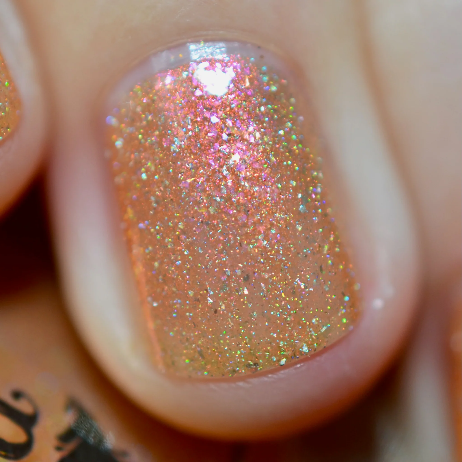 By Dany Vianna- Wicked for Good- The Most Scandalocious Fish in the Sea