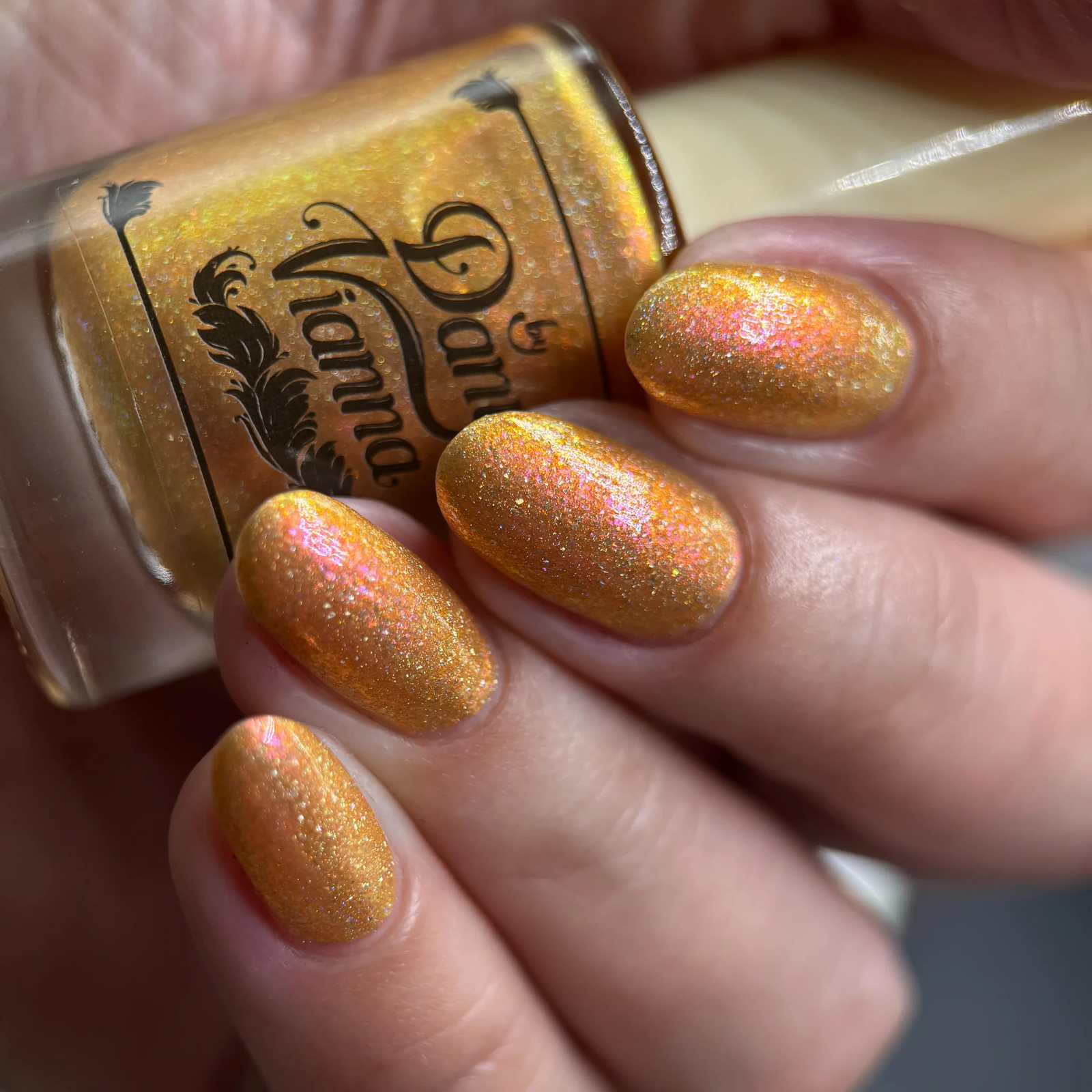 By Dany Vianna- Wicked for Good- The Most Scandalocious Fish in the Sea