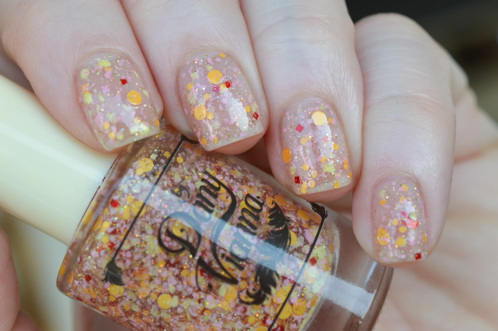 By Dany Vianna- Wicked for Good- Poppy Dreams