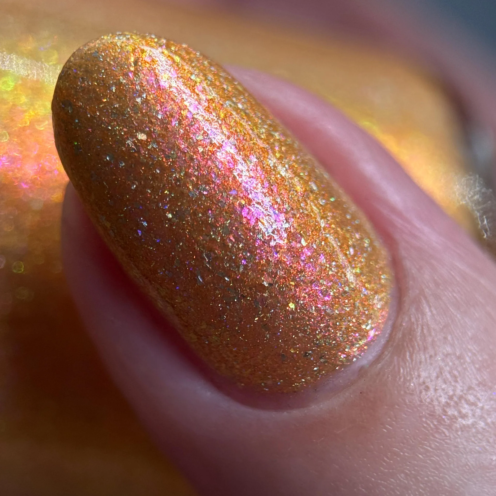 By Dany Vianna- Wicked for Good- The Most Scandalocious Fish in the Sea