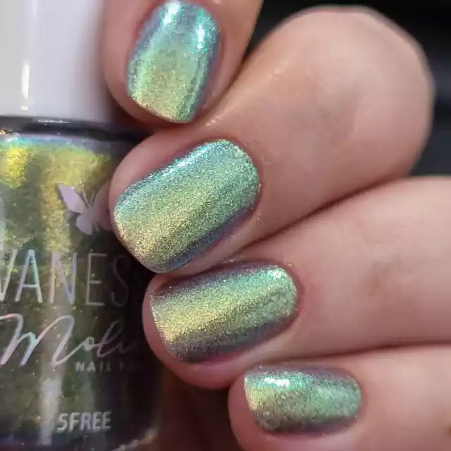 By Vanessa Molina- After Chaos- Look for the Light