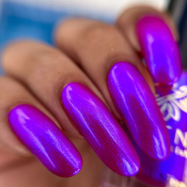 Phoenix- The Galaxy Needs Us- You Said It Yourself