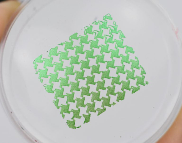 B. loves plates- Stamping Polish- BLP09 B. a Christmas Tree