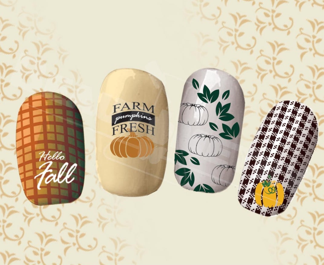 Beautometry- Stamping Plates- Pumpkin 01