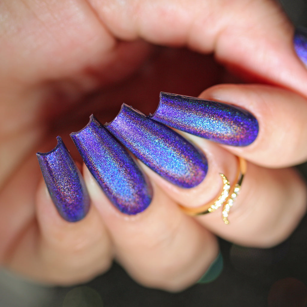 Phoenix- Holos- Come Come (Cookie Monster)