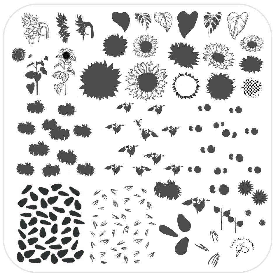 Clear Jelly Stamper- CjS-163- Sunflowers