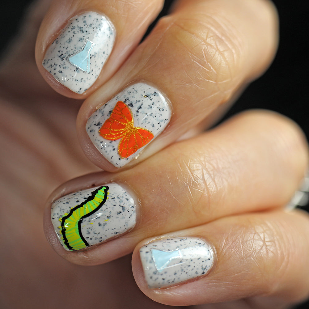 Beautometry Plates + 'Ard as Nails Polish Bundle