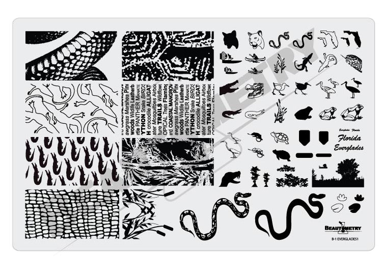 Beautometry Plates + Danglefoot Polish Bundle