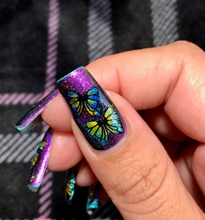 Beautometry- Stamping Plates- Butterfly 01