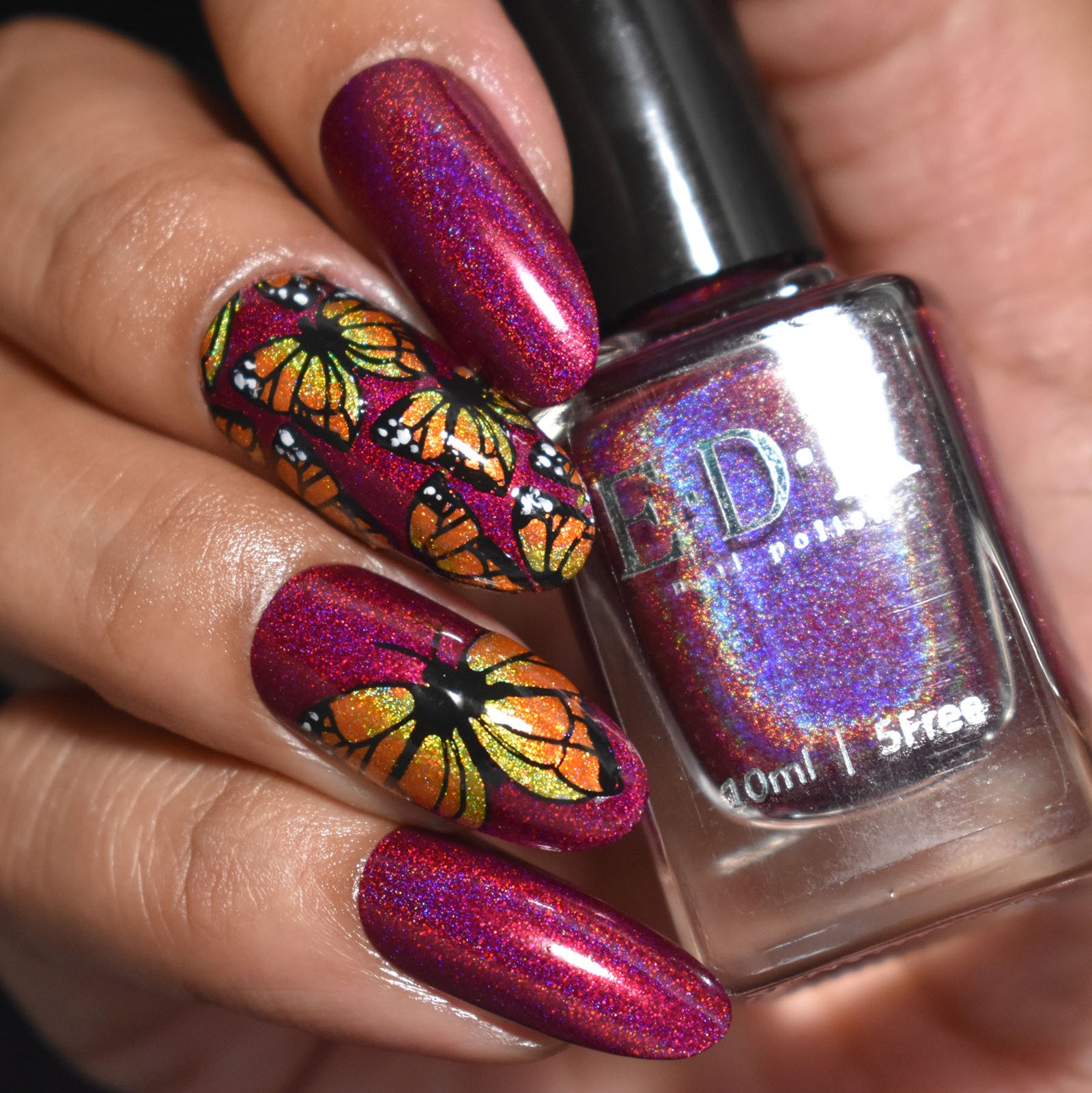 Beautometry- Stamping Plates- Butterfly 01