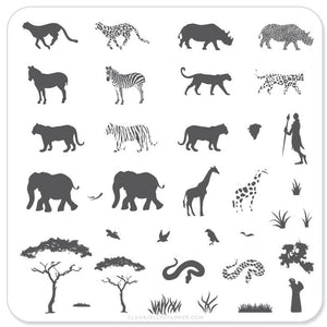 Clear Jelly Stamper- CjS-015- Out of Africa