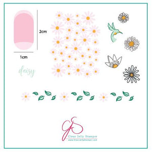 Clear Jelly Stamper- CjS-113- Daisy Do, Daisy Don't