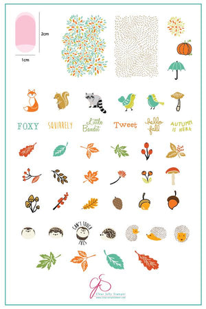 Clear Jelly Stamper- CjS-135- Autumn is Here