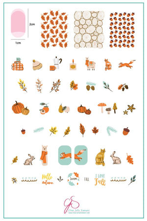 Clear Jelly Stamper- CjS-148- Autumn Acorns