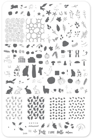 Clear Jelly Stamper- CjS-148- Autumn Acorns