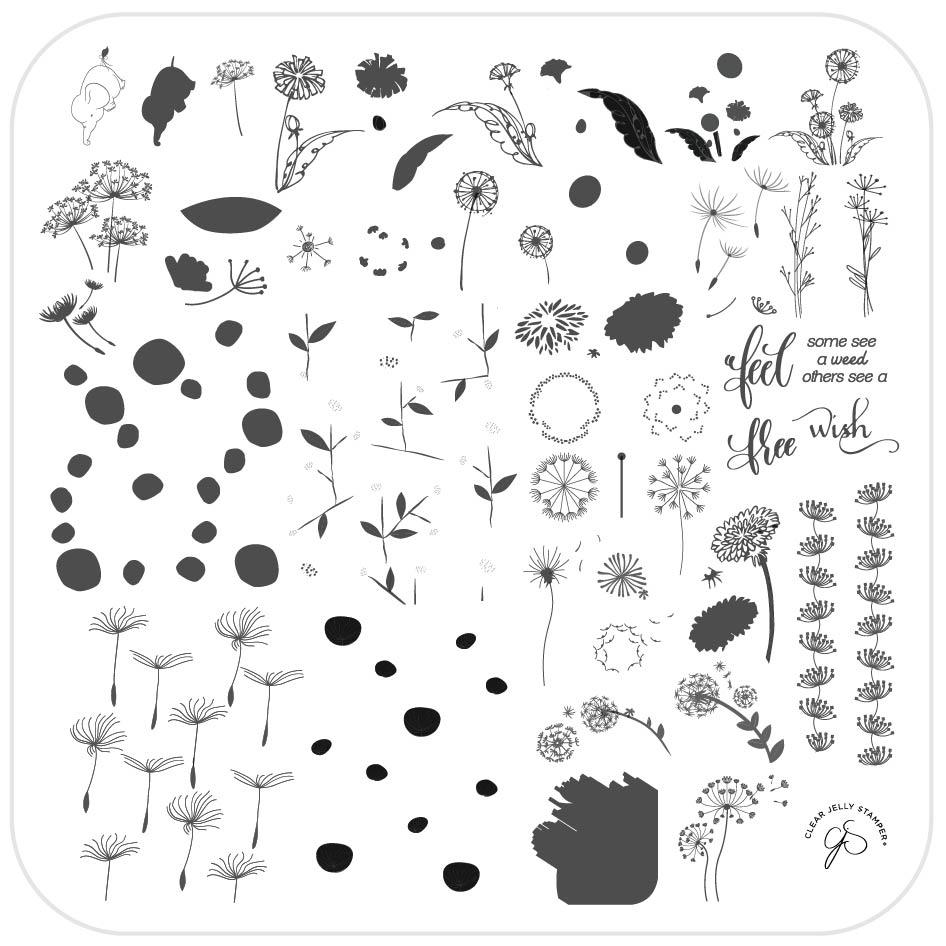 Clear Jelly Stamper- CjS-158- Feel Free