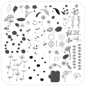 Clear Jelly Stamper- CjS-158- Feel Free