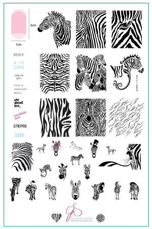 Clear Jelly Stamper- CjS-175- Wild Kingdom - Zebra