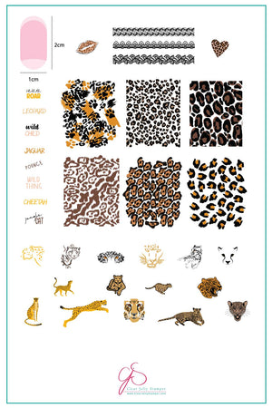 Clear Jelly Stamper- CjS-176- Wild Kingdom - Cheetah